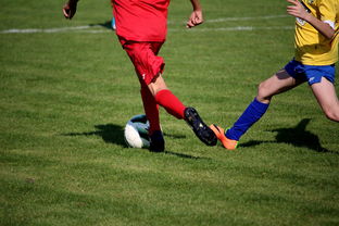 爱游戏体育官网-中国足球俱乐部与国际知名足球学院合作，中国足球俱乐部和国家队